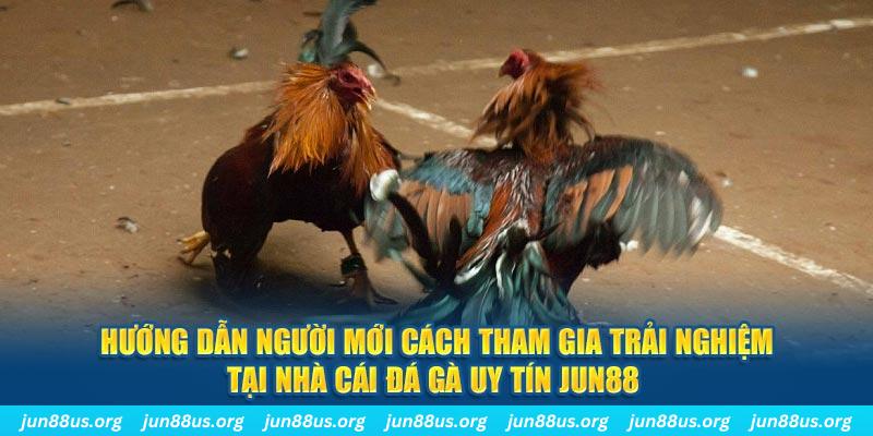 51 hot liv CQ9 Điện Tử