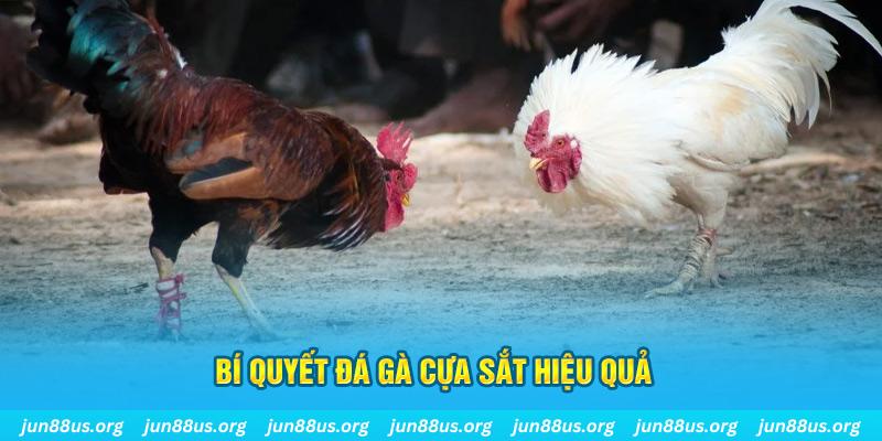51 hot liv xin 1 slot là gì