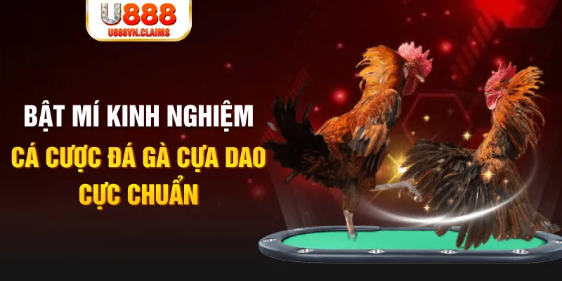 51 hot liv tỷ lệ cá cược châu á là gì