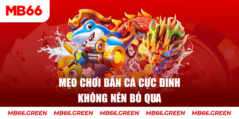 51 hot liv xổ số miền bắc