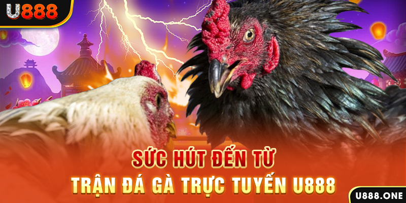 51 hot liv nổ hũ b29 là gì