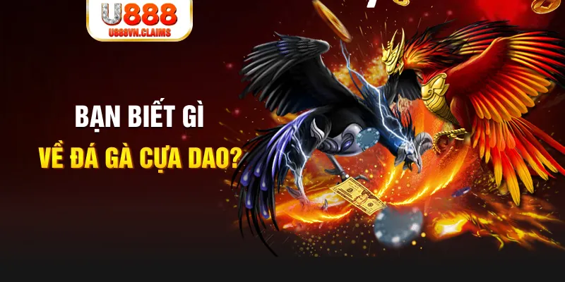 51 hot liv nổ hủ là gì