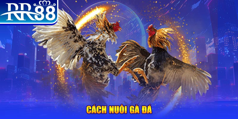 51 hot liv xổ số an giang