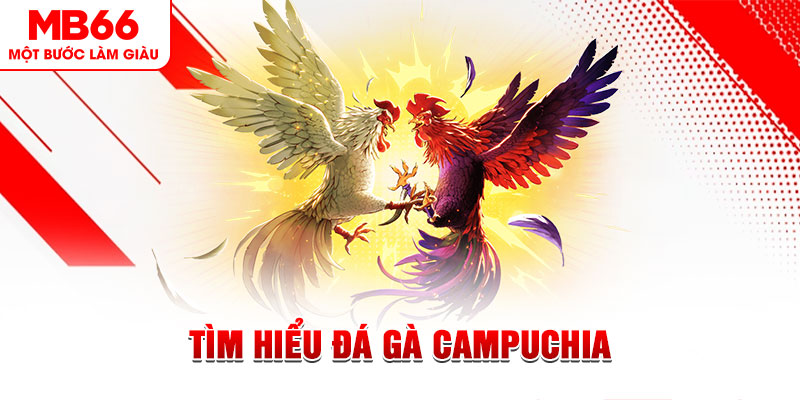 51 hot liv game đánh bài trên máy tính