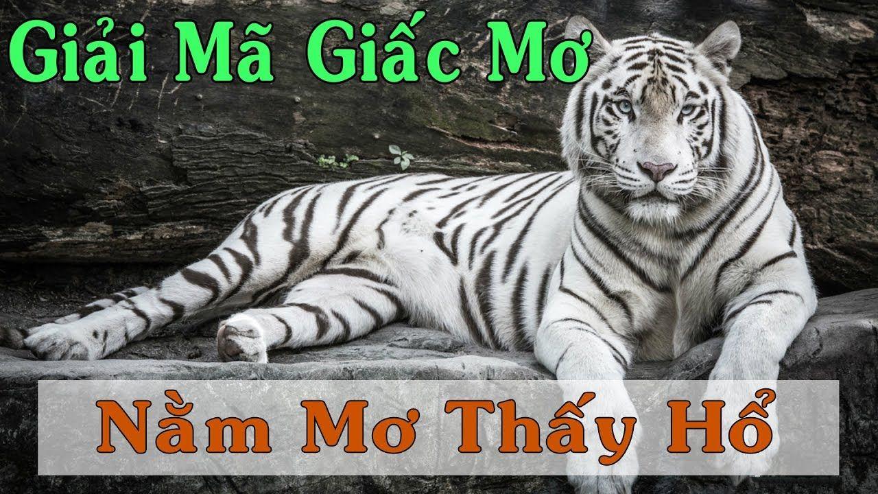 51 hot liv WM Trực Tuyến