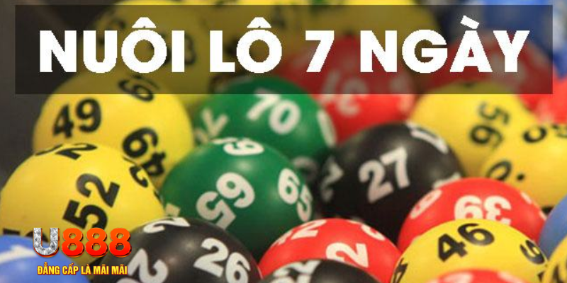 51 hot liv slot là j