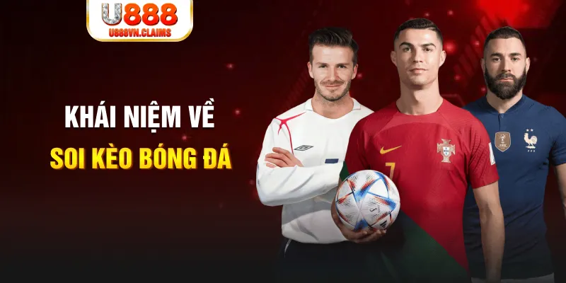 51 hot liv xổ số miền bắc hàng tuần