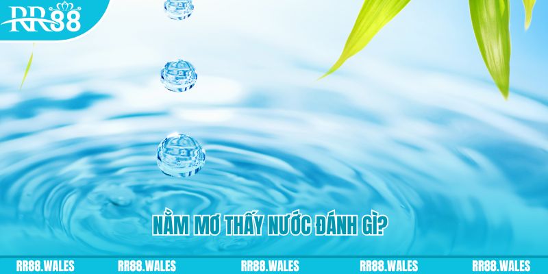 51 hot liv TP Bắn cá