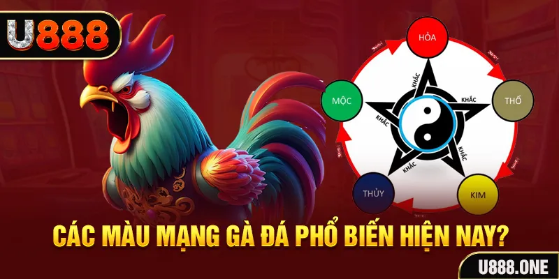 51 hot liv trực tiếp đá gà 88