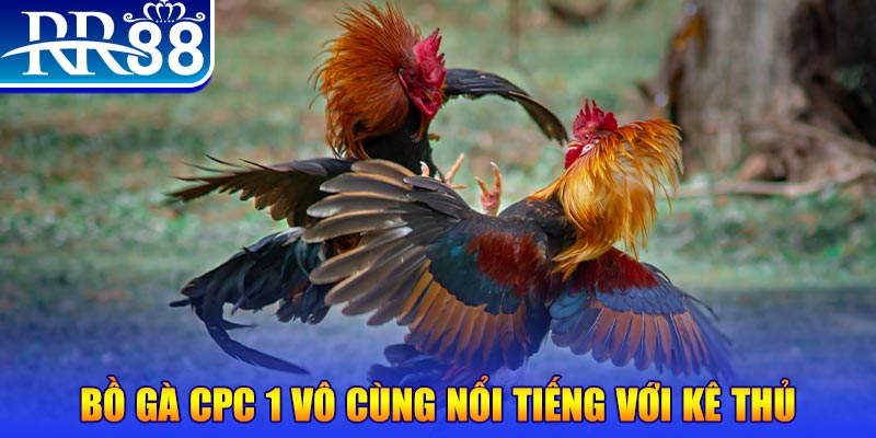 51 hot liv game máy bay nổ hũ