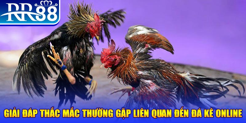 51 hot liv slot machine là gì