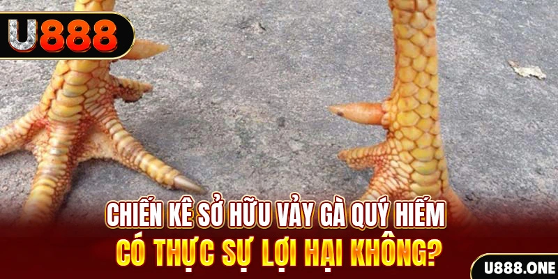 51 hot liv nohu .mx nổ hủ là gì