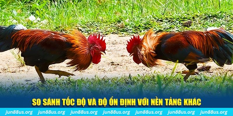 51 hot liv đá gà hôm nay