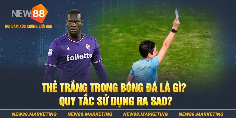 51 hot liv gà chọi mộc hóa