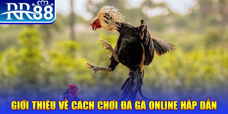 51 hot liv game nổ hũ rút tiền mặt là gì