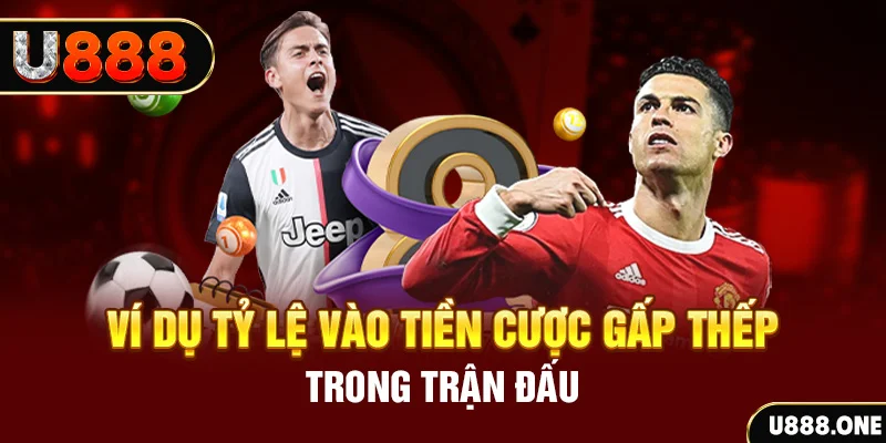 51 hot liv kết quả xổ số 30 ngày