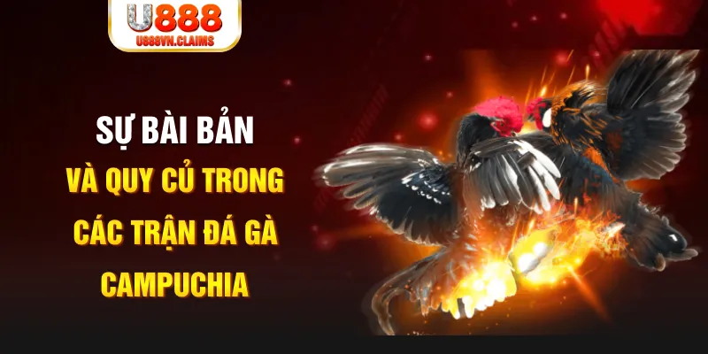 51 hot liv YGR Điện Tử