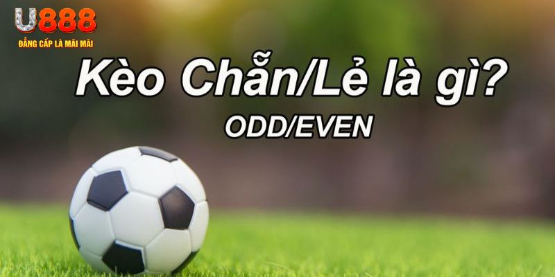 51 hot liv đăng nhập poker hôm nay