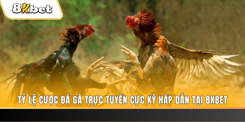 51 hot liv xổ số trực tiếp miền bắc