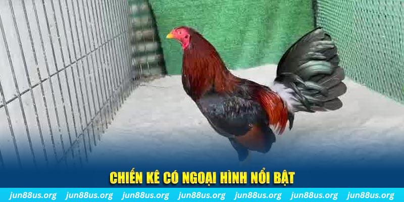51 hot liv chạy quảng cáo cho game bài bị phạt như thế nào