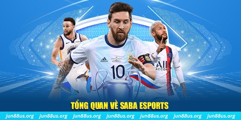 51 hot liv xổ số miền trung