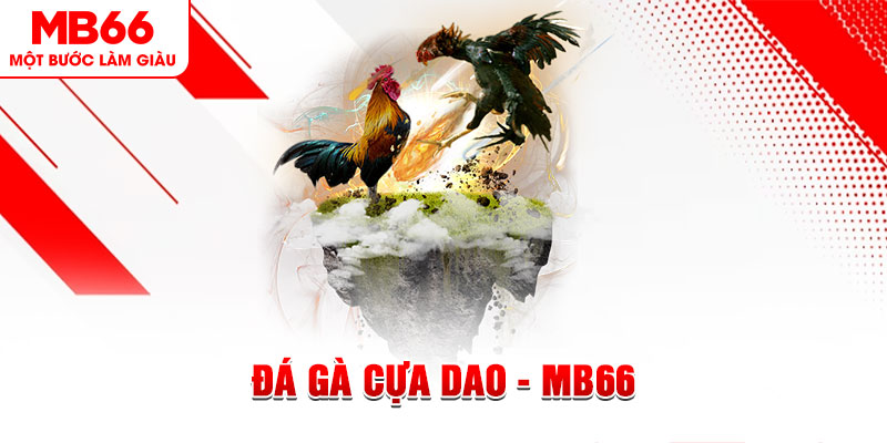 51 hot liv đá gà sv388 gold