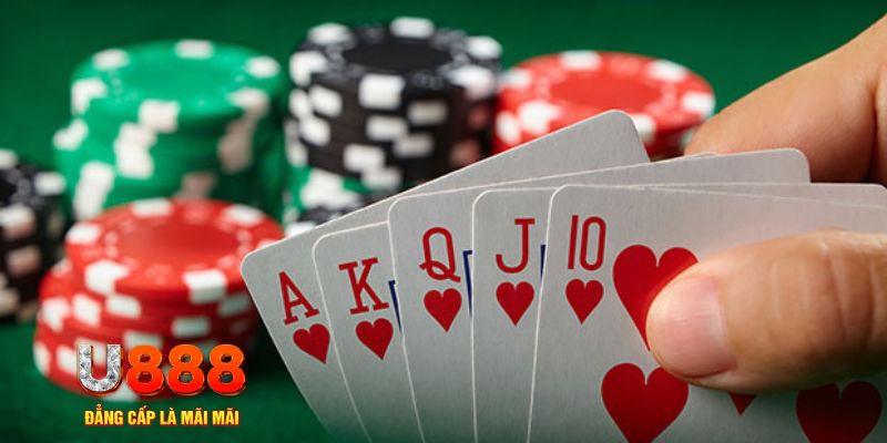 51 hot liv đá gà trực tiếp thomo 67
